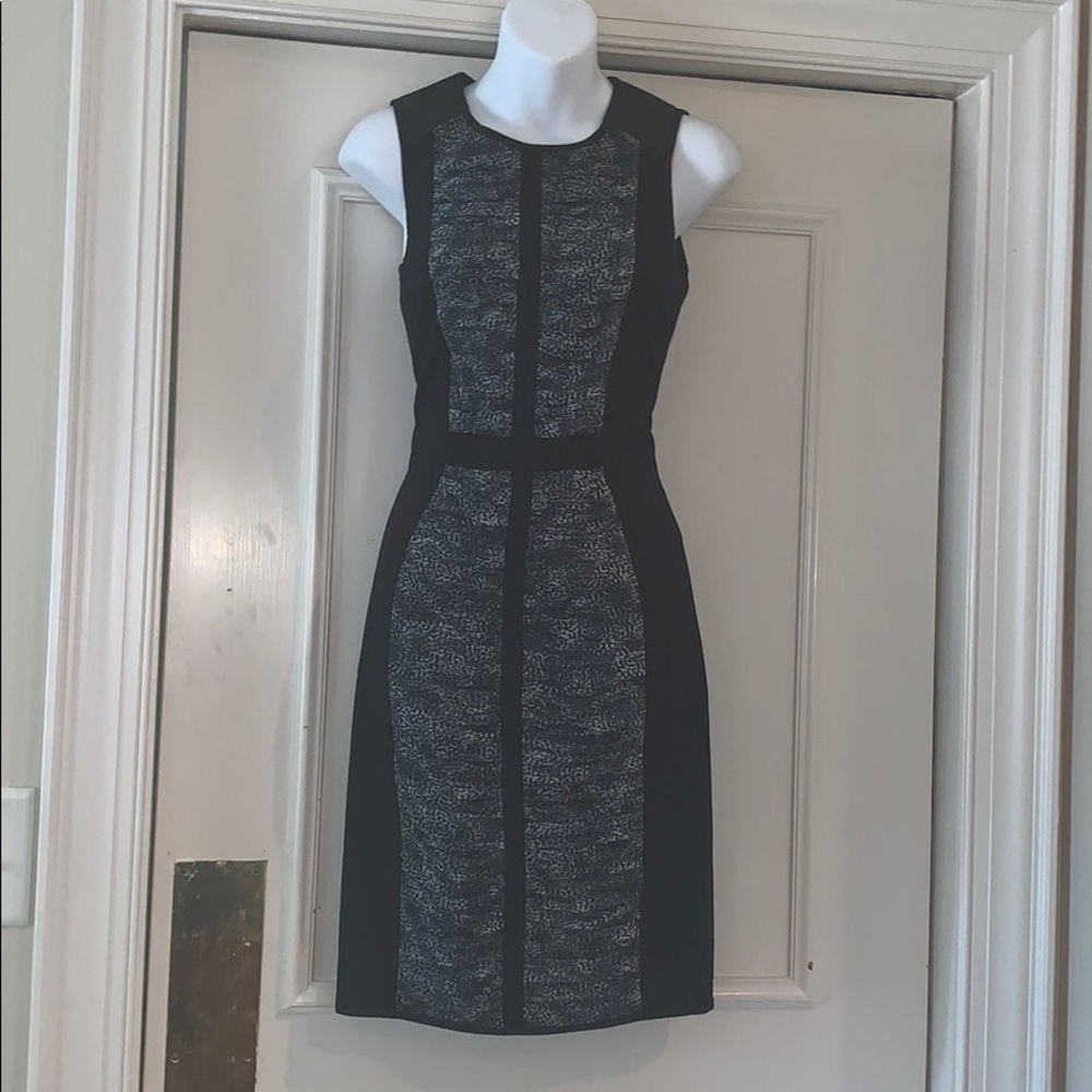 Iris setlakwe silk and leather  fitted dress